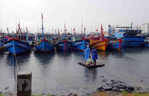 Kien Giang announces list of violating fishing vessels