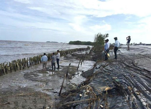 Ca Mau takes prompt actions against dyke erosion