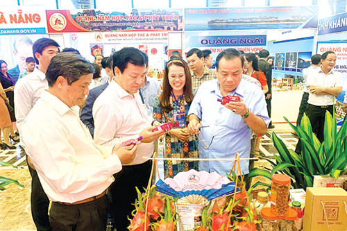 Binh Thuan participated in Central Region economic development conference