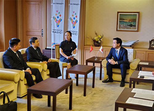 Vice chairman Luong Van Hai pays a working visit to Japan