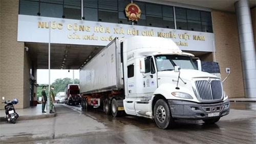 Priority given to dragon fruit exports through Lao Cai border gate