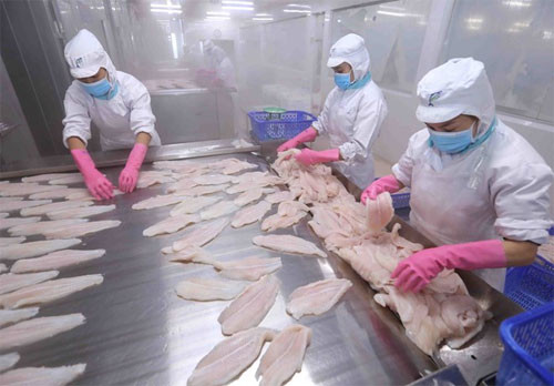 Japan among top 10 importers of Vietnam’s tra fish for first time