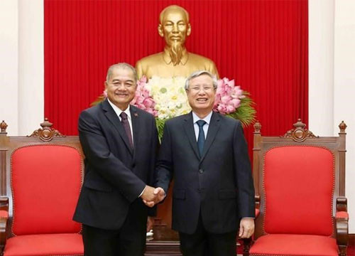 Party official: Vietnam does best to foster ties with Laos