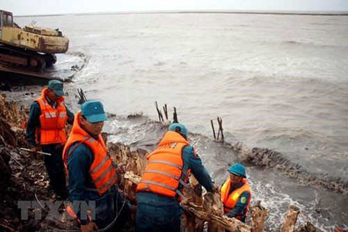 Ca Mau consolidates dykes against erosion along western coast