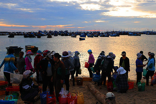 Phu Quy Island’s special seafood lures tourists’ appetites