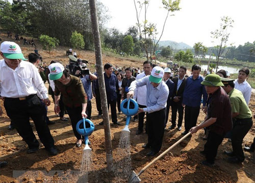 Party, State leader launches Tet tree planting festival in Yen Bai