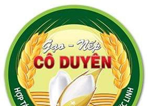 Duc Linh: 9 agricultural products registered for trademarks