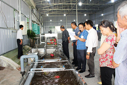 Dragon-fruit washing chains handed over to Ham Thuan Bac