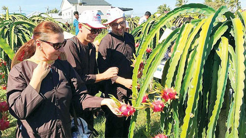 Binh Thuan launch safe tourism program