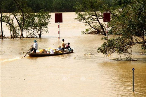 Measures accelerated to support flood victims in central region