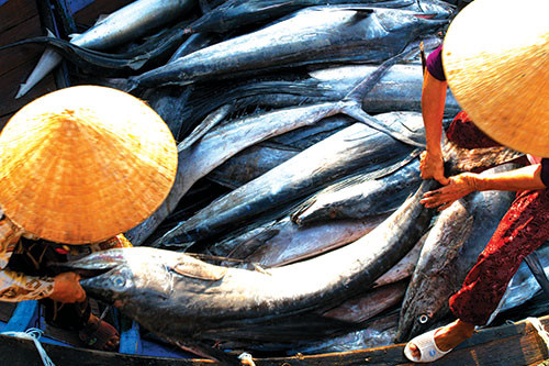 Binh Thuan to promote seafood exports to EU following EVFTA