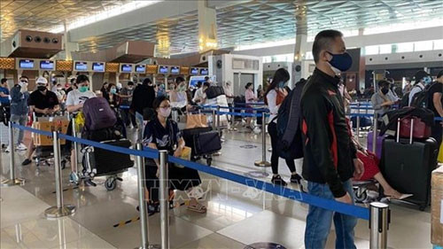 More than 210 Vietnamese citizens brought home from Indonesia