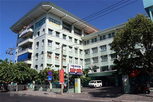 Vietnamese expats support Da Nang hospital in combating COVID-19
