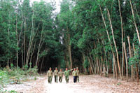 Ngăn chặn phá rừng giáp ranh Tuy Phong - Đức Trọng