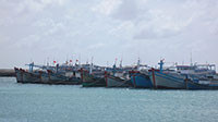 Ngăn chặn tàu cá xâm phạm lãnh hải nước ngoài