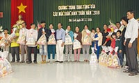 “Cây mùa xuân” Bính Thân đến Đức Linh, Tánh Linh