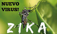 Diệt muỗi để phòng vi rút Zika