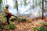 Khu Bảo tồn thiên nhiên Tà Cú:   Chủ động phòng chống cháy rừng mùa khô