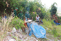 Đồn Biên phòng Tân Thắng: Tiêu hủy hơn 100 kg cây cần sa
