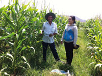 Thuận Hòa chuyển đổi cây trồng phù hợp với khô hạn