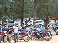 Dịp nghỉ lễ giỗ Tổ Hùng Vương: Khu du lịch cộng đồng Cam Bình thu hút gần 5 ngàn lượt khách trong, ngoài tỉnh