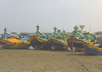 Công bố danh sách các khu neo đậu tránh trú bão cho tàu cá: Bình Thuận có 5 điểm neo đậu