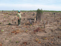 Ban quản lý RPH Sông Móng - Ca Pét: Nhiều biện pháp phòng chống phá rừng