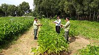 Ban quản lý rừng phòng hộ Lê Hồng Phong hoàn tất kế hoạch trồng rừng mùa mưa