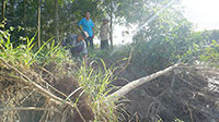 Bờ sông La Ngà sạt lở nghiêm trọng do khai thác cát