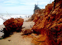 Dự án Kè bảo vệ bờ biển Phước Lộc – Tân Phước (La Gi): Xây dựng kè tạm – chờ vốn