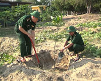 Bộ đội Biên phòng tỉnh: Phát động Tết trồng cây đời đời nhớ ơn Bác Hồ năm 2017