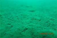 Viện Hải dương học công bố kết quả khảo sát đáy biển khu vực 30ha