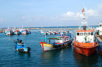 Gia hạn thời gian nạo vét khu neo đậu tàu thuyền cửa biển Phan Rí