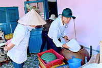 Bộ Y tế: Giám sát phòng chống sốt xuất huyết tại Bình Thuận