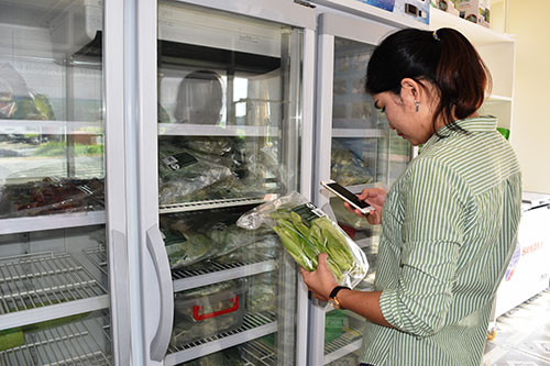 Lần đầu tiên tại Bình Thuận, Nông Viên Việt: Ðưa ra thị trường sản phẩm truy xuất được nguồn gốc