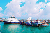 “Tàu 67” Bình Thuận vươn khơi bám biển