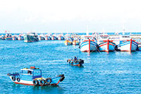 Ngăn chặn tình trạng ngư dân, tàu cá vi phạm vùng biển nước ngoài: Bình Thuận thể hiện quyết tâm cao