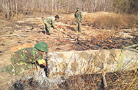 Công binh Bình Thuận: Tháo hủy 46 quả đạn pháo trên đất thanh long