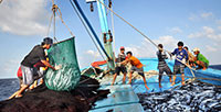 Tuyên truyền ngư dân Phú Quý chấm dứt tình trạng đánh bắt cá bất hợp pháp