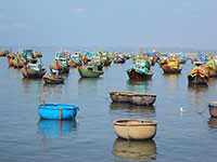 Cấm lặn hải đặc sản trên vùng biển Bình Thuận đến cuối tháng 7/2018