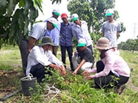 Mô hình canh tác nông nghiệp thông minh: Nâng cao năng suất cây trồng