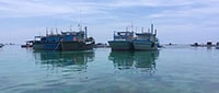 Đồn biên phòng Cửa khẩu cảng Phú Quý: Kiểm tra ngăn chặn khai thác hải sản bằng chất nổ