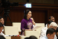 Phát biểu góp ý Luật đơn vị hành chính – kinh tế đặc biệt Vân Đồn, Bắc Vân Phong, Phú Quốc