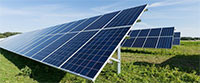 83 dự án điện mặt trời đăng ký đầu tư tại Bình Thuận