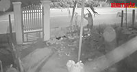 “Cẩu tặc” quăng bả trộm chó táo tợn tại Phú Long