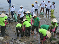 Khẩn trương giải quyết tình trạng rác thải từ biển trôi dạt vào bờ