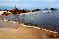 Xuất hiện “tảo đỏ” ven bãi biển đá nhảy