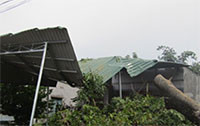 Bắc Bình: 12 căn nhà bị tốc mái hoàn toàn do mưa dông, gió lớn