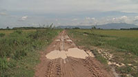 Nhiều tuyến đường nông thôn xã Nam Chính bị xuống cấp nghiêm trọng