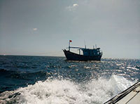 Ngư dân Bình Thuận bám biển Trường Sa nhiều nhất